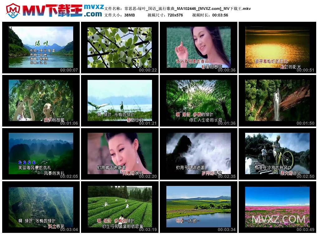 常思思-绿叶_国语_流行歌曲_MA102446